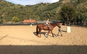 La Stalla, Casa Rustica Nel Ranch Di Cavalli