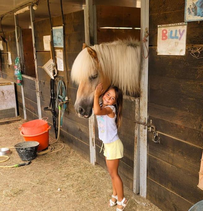 La Stalla, Casa Rustica Nel Ranch Di Cavalli Camporosso  Extérieur photo