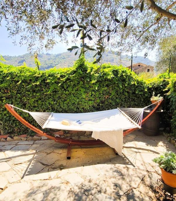 La Stalla, Casa Rustica Nel Ranch Di Cavalli Camporosso  Extérieur photo